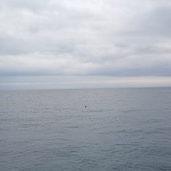 仮屋、サビキ釣り