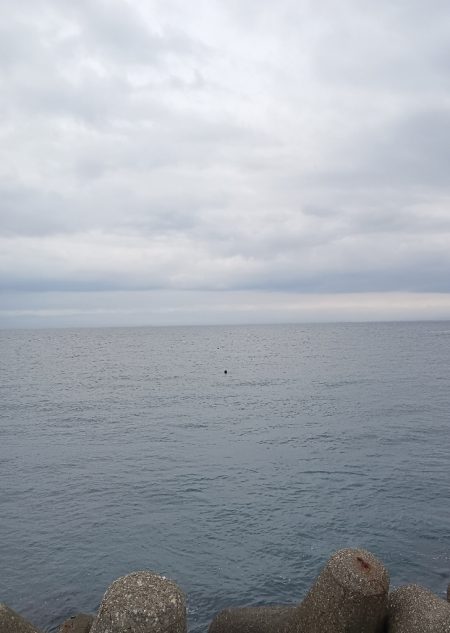 仮屋、サビキ釣り