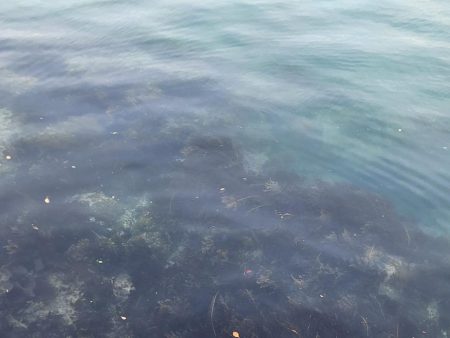 久しぶりの投稿