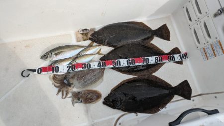 レンタルボートエンジョイ