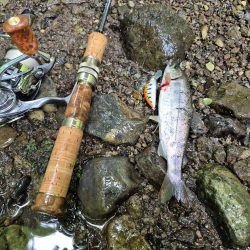 暴風なんで山へ