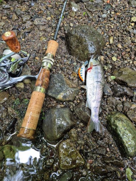 暴風なんで山へ