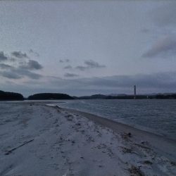 小さいけど1匹は1匹!