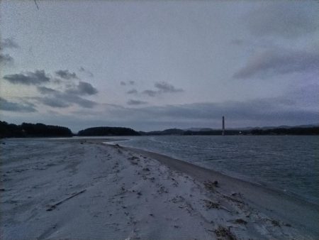 小さいけど1匹は1匹!