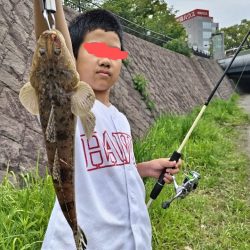 雨後にセイゴとマゴチ釣れました!