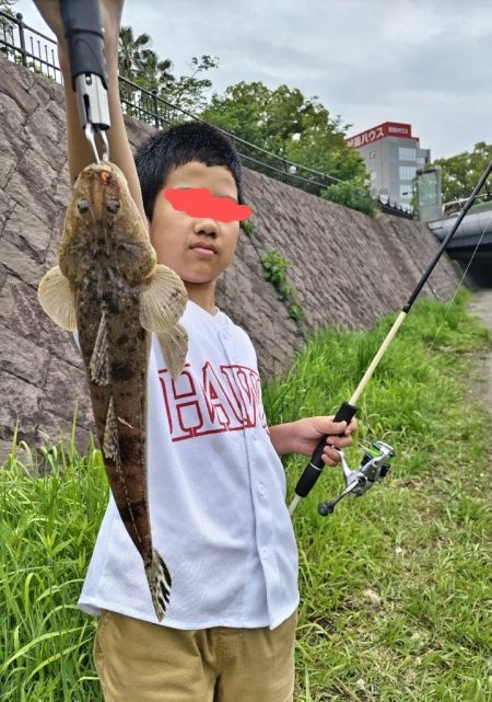 雨後にセイゴとマゴチ釣れました!