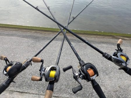 市内河川チニング