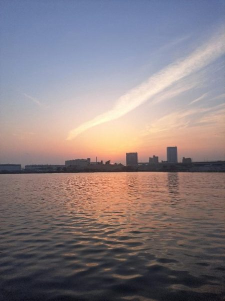 近場の小魚調査