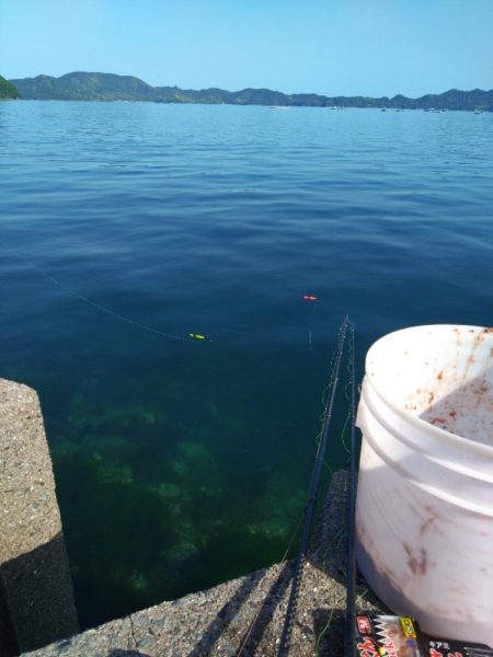 ガシラ祭りだぁ〜🎣