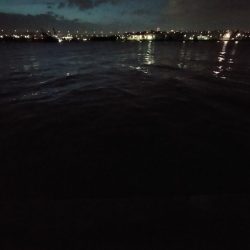 夕マズメの港で