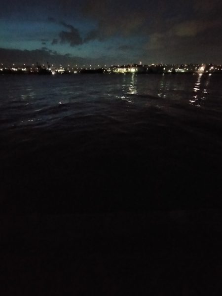 夕マズメの港で