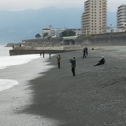 ジグサビキで仔サバ