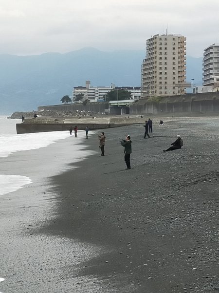 ジグサビキで仔サバ