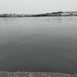 雨が降る前に…