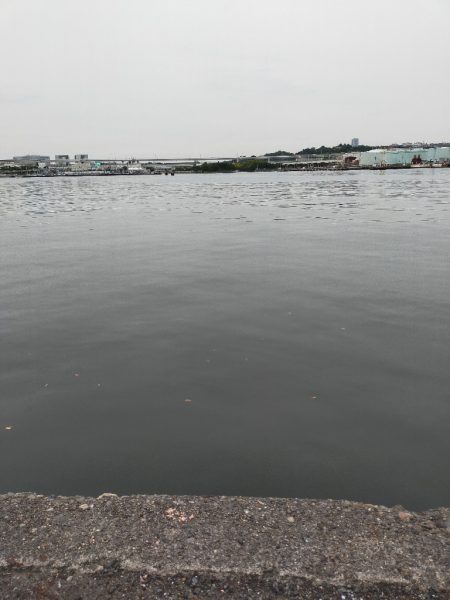 雨が降る前に…