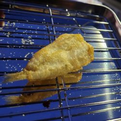 三重県キス釣り