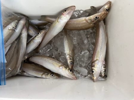 ＧＷにいろいろと巡ってみました