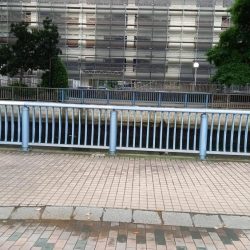 まさか！！こんなところで天然うなぎ！