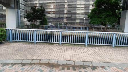 まさか！！こんなところで天然うなぎ！