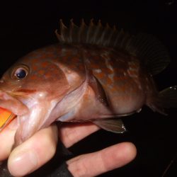 今シーズン初釣行