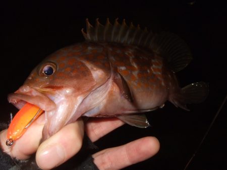 今シーズン初釣行