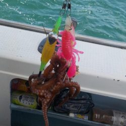 タコ開幕戦〜鍵庄〜