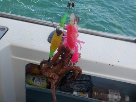 タコ開幕戦〜鍵庄〜