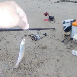 キス第1戦〜栗田〜