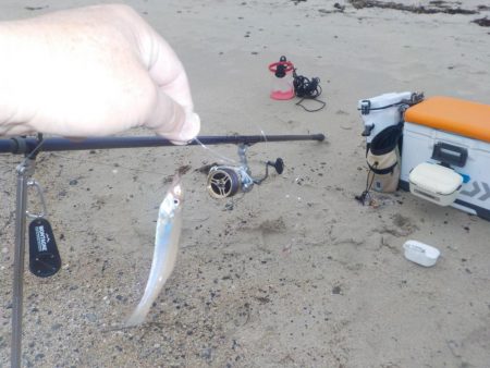 キス第1戦〜栗田〜