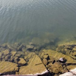 タナゴ釣り遠征