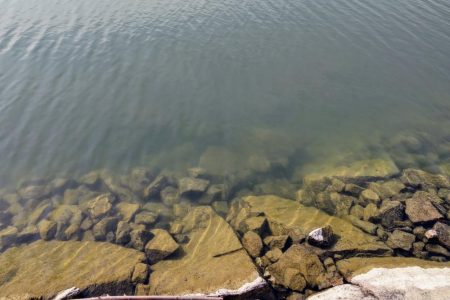 タナゴ釣り遠征