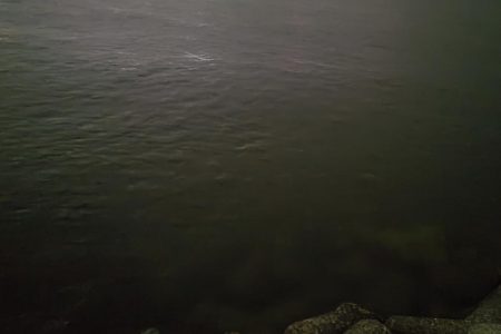 良型タケノコメバルゲット！！