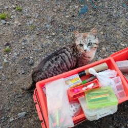 GWの釣りは久しぶりに息子と管釣り