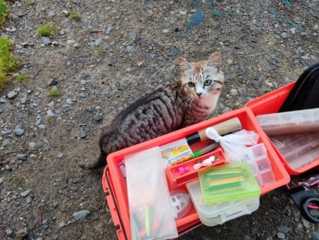 GWの釣りは久しぶりに息子と管釣り