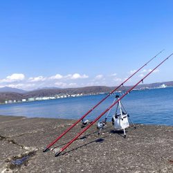 久しぶりの釣り