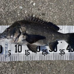 イチノ兄弟、釣果!