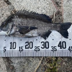 イチノ兄弟、釣果!