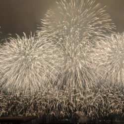 イワシなど五目