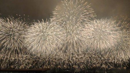 イワシなど五目