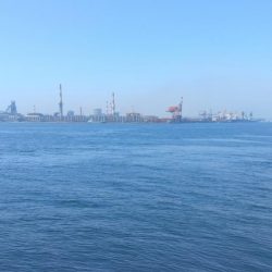 近場のキス調査