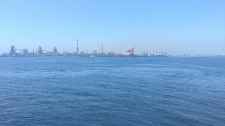 近場のキス調査