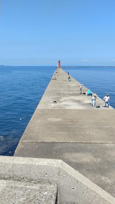 播磨新島のキス釣査