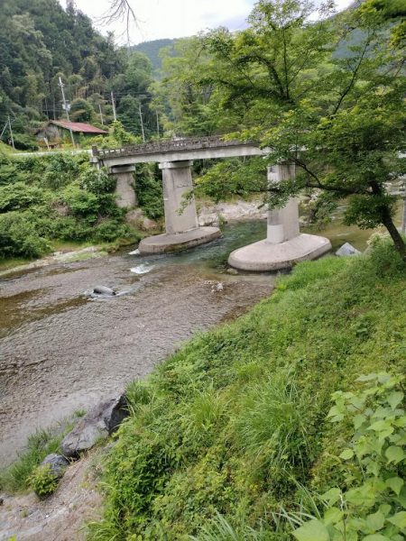 高見川で、アマゴ狙い