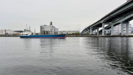 グレ本格的に釣れ始めてきた！