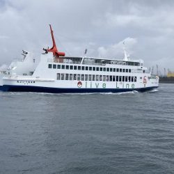 ワカメの上で一枚