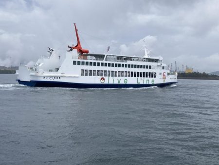 ワカメの上で一枚