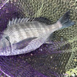 荒れる前のランガン釣行