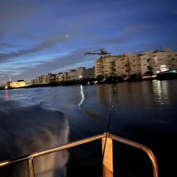 大サバパラパラ