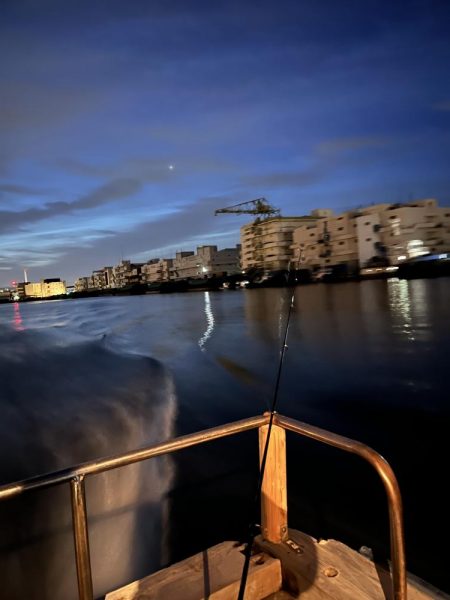 大サバパラパラ