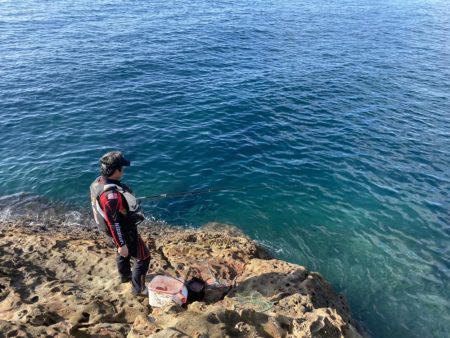 和歌山大引の磯でフカセ釣り